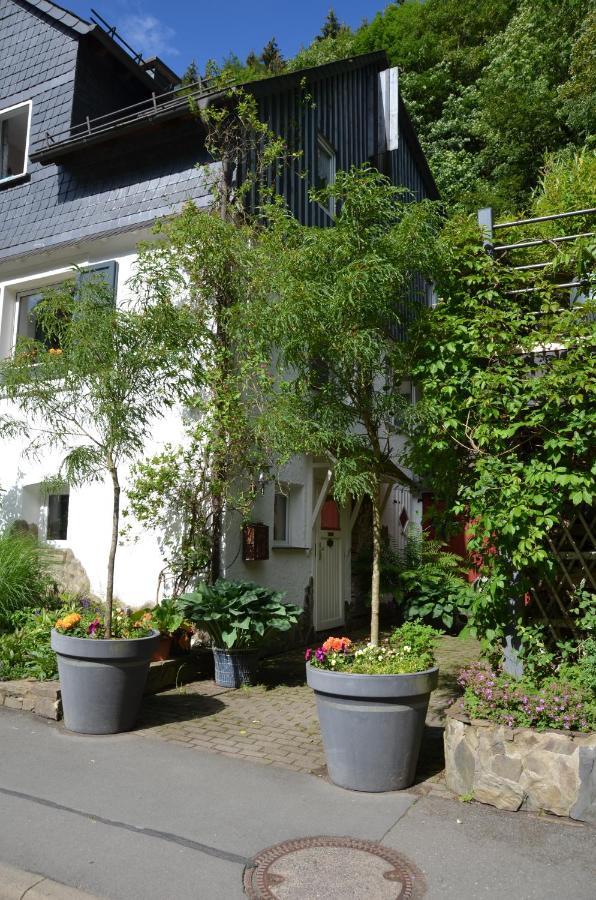 Birgits Landhaus Willingen Willingen  Zewnętrze zdjęcie