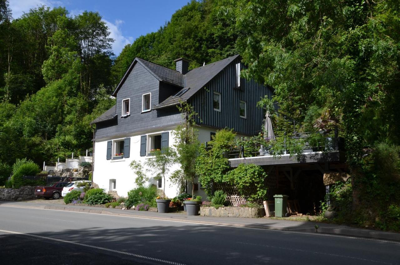 Birgits Landhaus Willingen Willingen  Zewnętrze zdjęcie