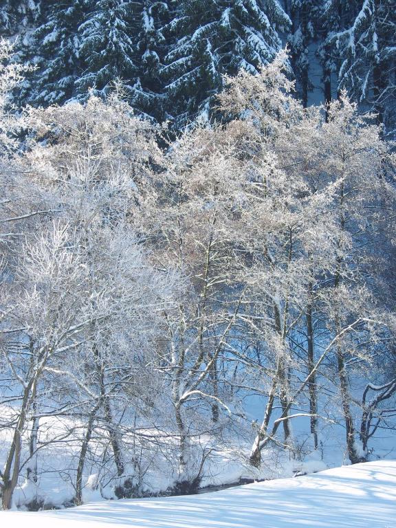 Birgits Landhaus Willingen Willingen  Zewnętrze zdjęcie