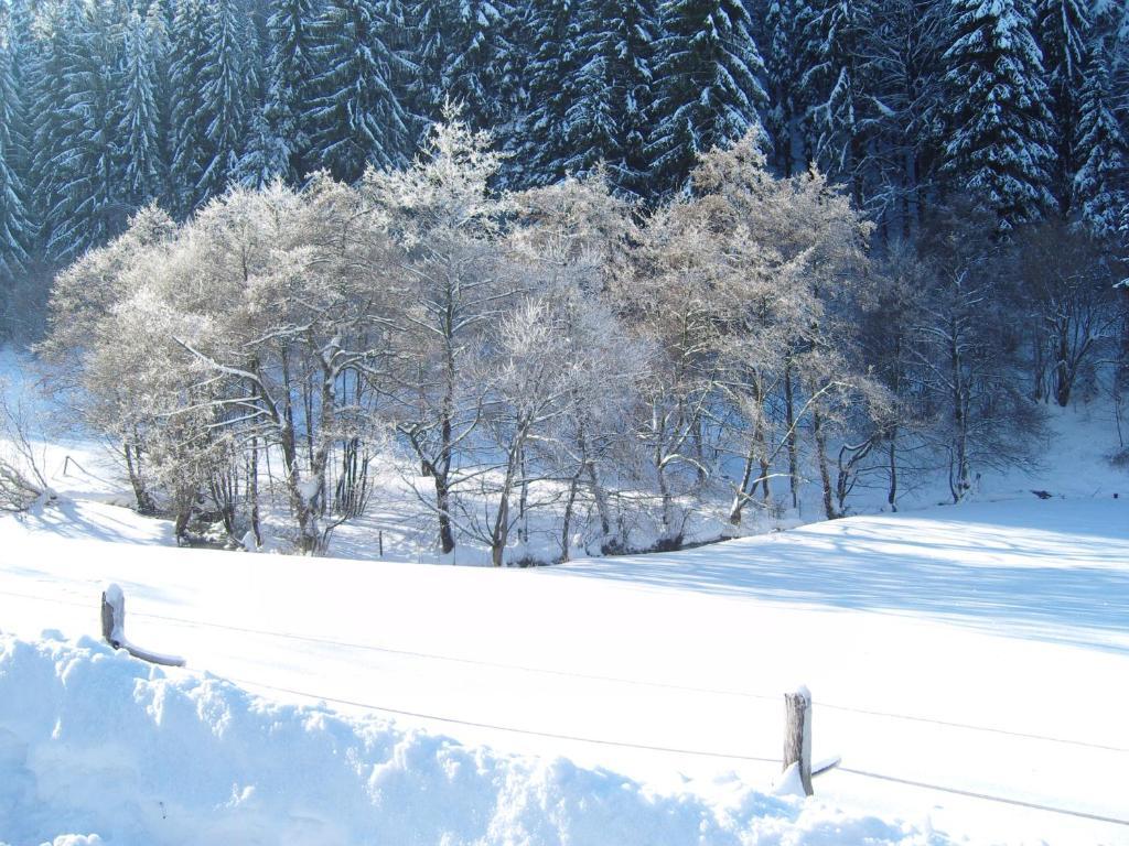 Birgits Landhaus Willingen Willingen  Zewnętrze zdjęcie